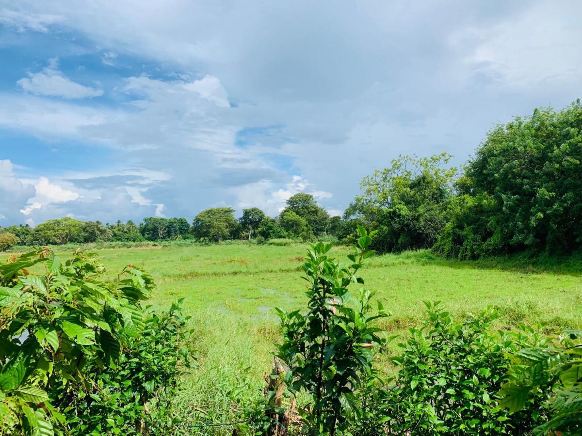 Coco Garden Holiday Homes Anuradhapura Eksteriør billede